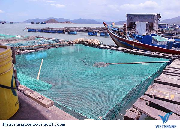 Hoang Sơ Đảo Bình Hưng - Khánh Hòa - Ảnh 2 Hoang Sơ Đảo Bình Hưng - Khánh Hòa - Ảnh 2