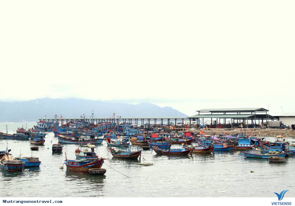 Hoạt động tại chợ hải sản Vĩnh Lương - Cảng cá Vĩnh Lương - Ảnh 1 Hoạt động tại chợ hải sản Vĩnh Lương - Cảng cá Vĩnh Lương - Ảnh 1