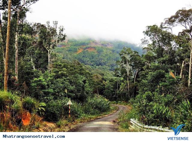 Hòn Bà - Một Trong 4 Điểm Đến Trekking Đẹp Nhất Miền Trung - Ảnh 1