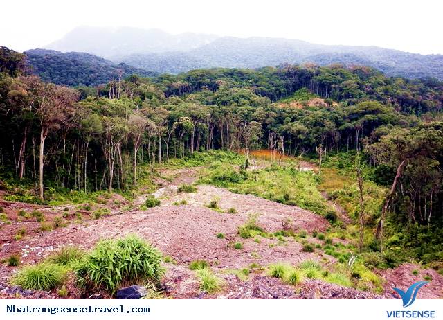 Hòn Bà - Một Trong 4 Điểm Đến Trekking Đẹp Nhất Miền Trung - Ảnh 3