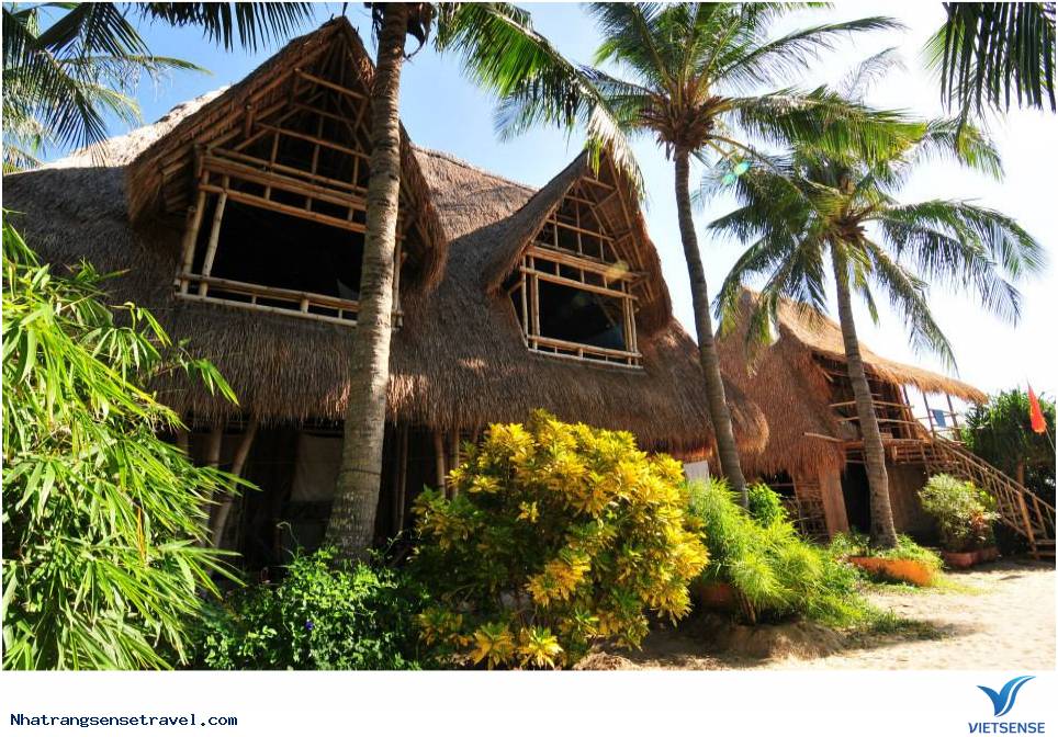 Jungle Beach1 Jungle Beach