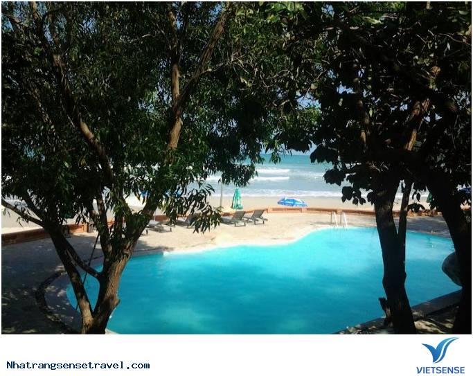 Wild Beach Resort & Spa2  Wild Beach Resort & Spa