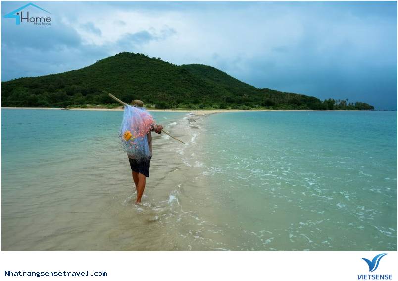 Hướng Dẫn Trải Nghiệm Đảo Điệp Sơn - Đi Như Thế Nào Làm Gì Và Ở Đâu - Ảnh 5 Hướng Dẫn Trải Nghiệm Đảo Điệp Sơn - Đi Như Thế Nào Làm Gì Và Ở Đâu - Ảnh 5