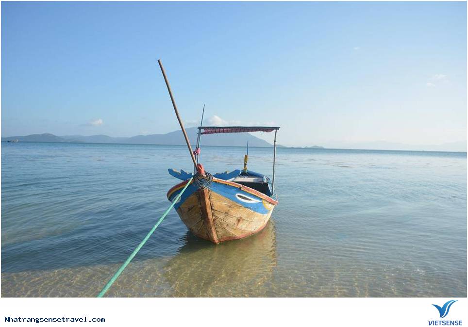 Hướng Dẫn Trải Nghiệm Đảo Điệp Sơn - Đi Như Thế Nào Làm Gì Và Ở Đâu - Ảnh 4 Hướng Dẫn Trải Nghiệm Đảo Điệp Sơn - Đi Như Thế Nào Làm Gì Và Ở Đâu - Ảnh 4