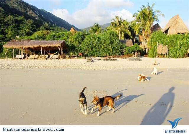 Jungle Beach Nha Trang