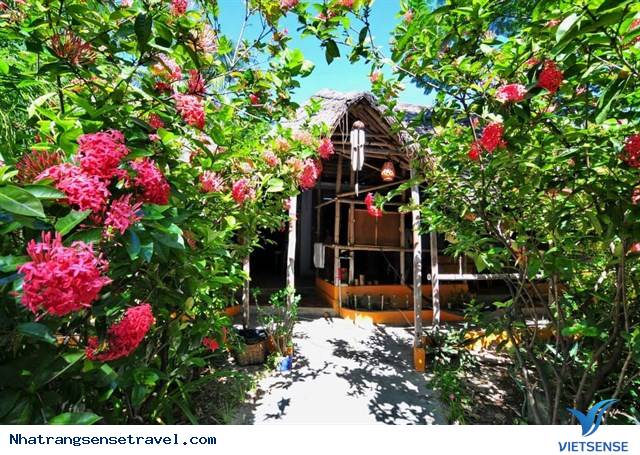 Jungle Beach Nha Trang8