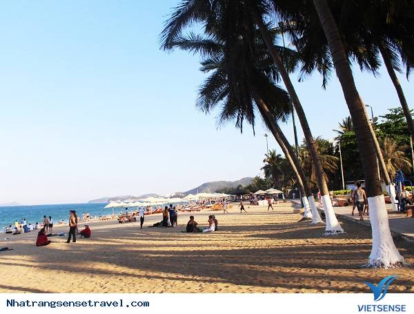 khách thăm quan Tới Nha Trang Đổ Xô Tắm Biển Giải Nhiệt - Ảnh 7