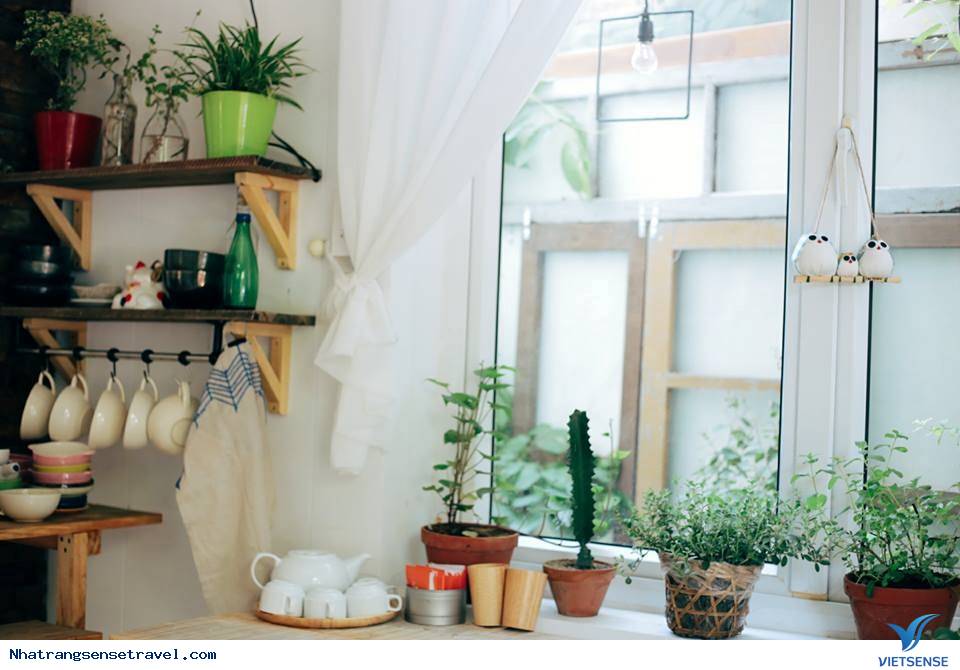 Khám Phá Homestay và Hostel Đẹp Ngất Ngây Ở Nha Trang - Ảnh 3 Khám Phá Homestay và Hostel Đẹp Ngất Ngây Ở Nha Trang - Ảnh 3