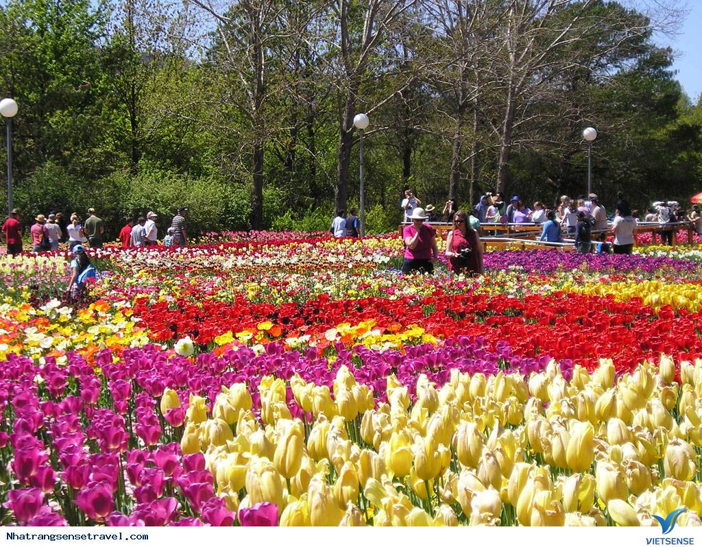 Khánh Hòa Và Lâm Đồng Hợp Tác Phát triển Lữ Hành
- Ảnh 2 Khánh Hòa Và Lâm Đồng Hợp Tác Phát triển Lữ Hành
- Ảnh 2