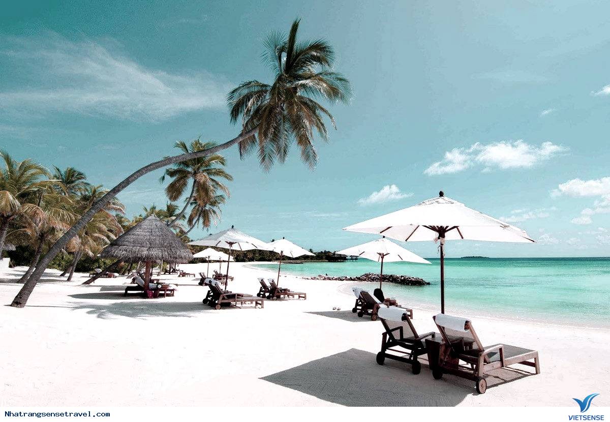 Một số địa điểm hấp dẫn trải nghiệm Nha Trang