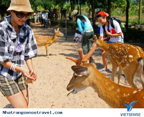 khu thăm quan sinh thái Suối Hoa Lan - Ảnh 3