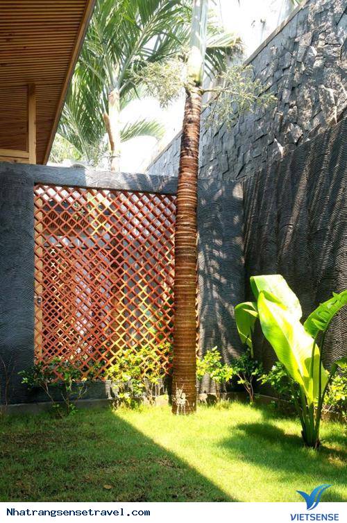 Khu Homestay Xanh Mát Ngay Gần Biển Đà Nẵng