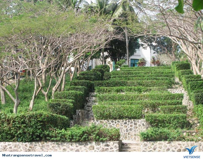 Kiến Trúc đôc đáo Dinh Bảo Đại - Ảnh 1 Kiến Trúc đôc đáo Dinh Bảo Đại - Ảnh 1