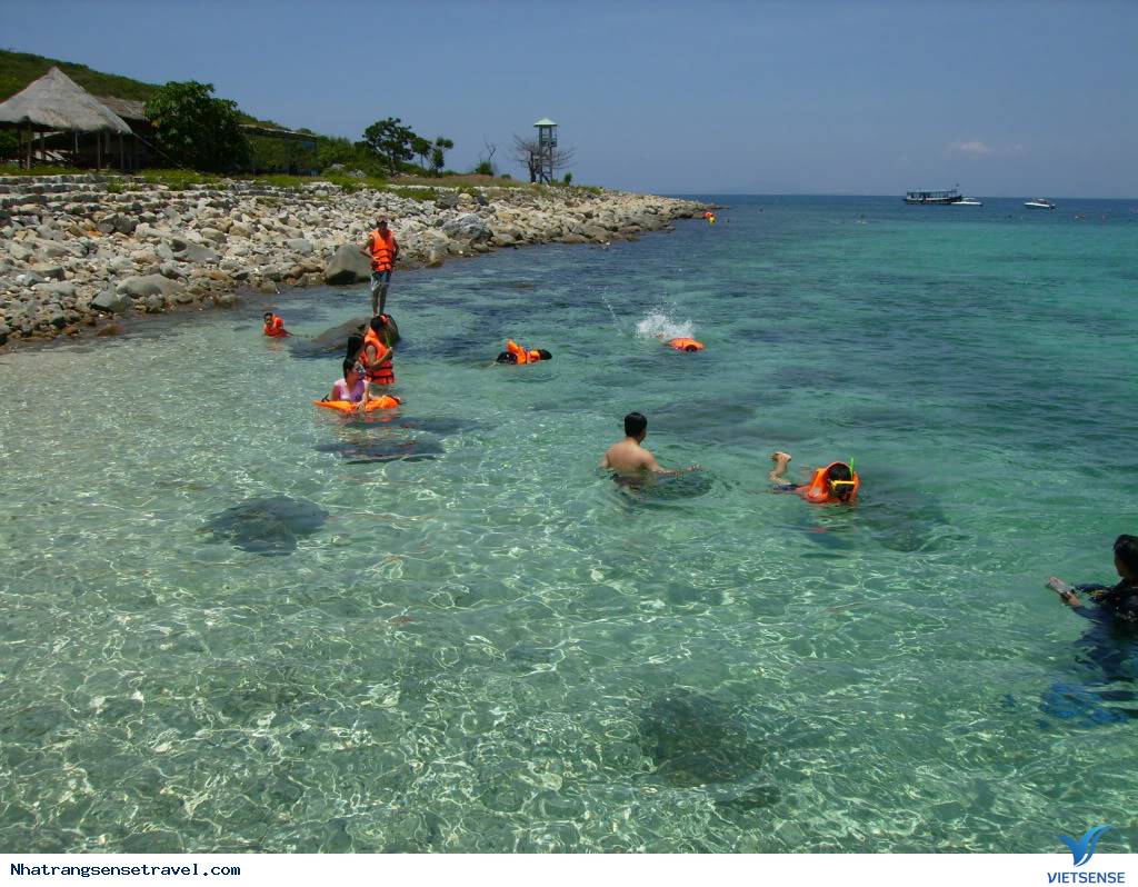 Kinh Nghiệm Ăn, Chơi Và Đập Phá Trên Bãi Tranh Nha Trang - Ảnh 2