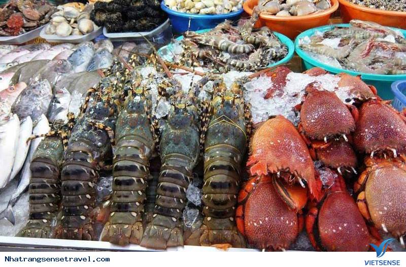 Kinh Nghiệm Cho chuyến đi Khám Phá Vịnh Vĩnh Hy - Ảnh 6