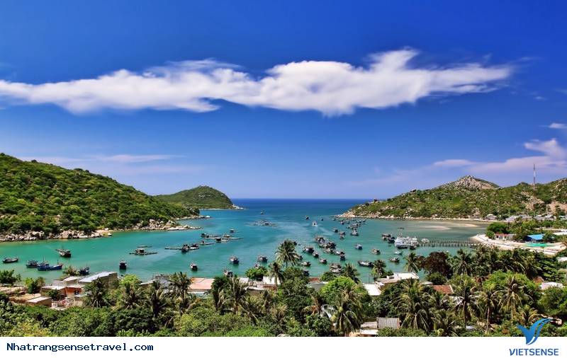 Kinh Nghiệm Cho chuyến đi Khám Phá Vịnh Vĩnh Hy - Ảnh 1