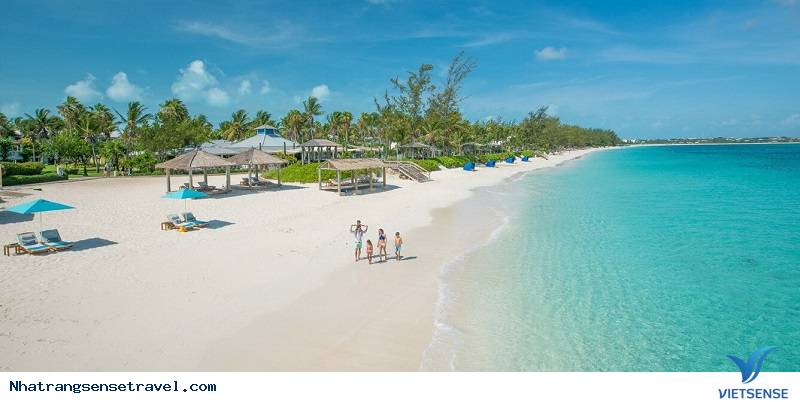 Kinh nghiệm đi thăm quan Nha Trang cùng bé yêu - Ảnh 1 Kinh nghiệm đi thăm quan Nha Trang cùng bé yêu - Ảnh 1