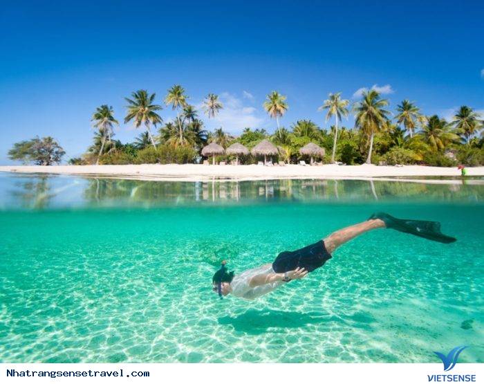 Kinh nghiệm đi thăm quan Nha Trang theo mùa - Ảnh 2 Kinh nghiệm đi thăm quan Nha Trang theo mùa - Ảnh 2