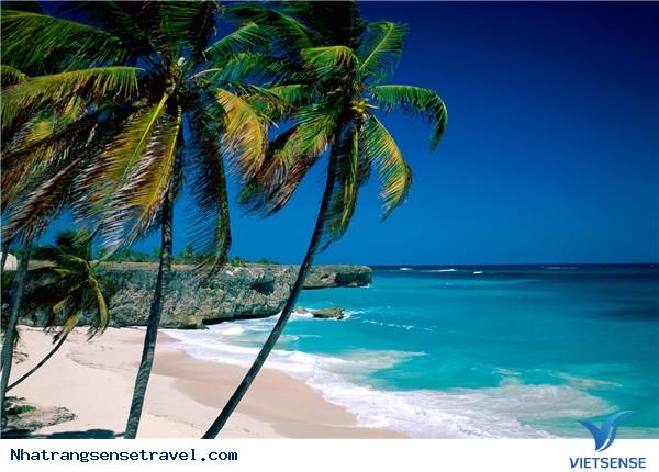 Kinh Nghiệm Nên Đi Đâu - Nên Ăn Gì khi đến Nha Trang 2025 - Ảnh 2 Kinh Nghiệm Nên Đi Đâu - Nên Ăn Gì khi đến Nha Trang 2025 - Ảnh 2