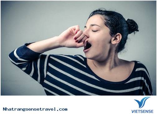 Làm Gì Để Tránh Bị Ù Tai Khi Đi Máy Bay - Ảnh 2