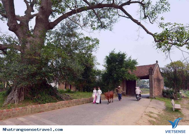 Làng cổ Phú Vinh - Ảnh 1 Làng cổ Phú Vinh - Ảnh 1