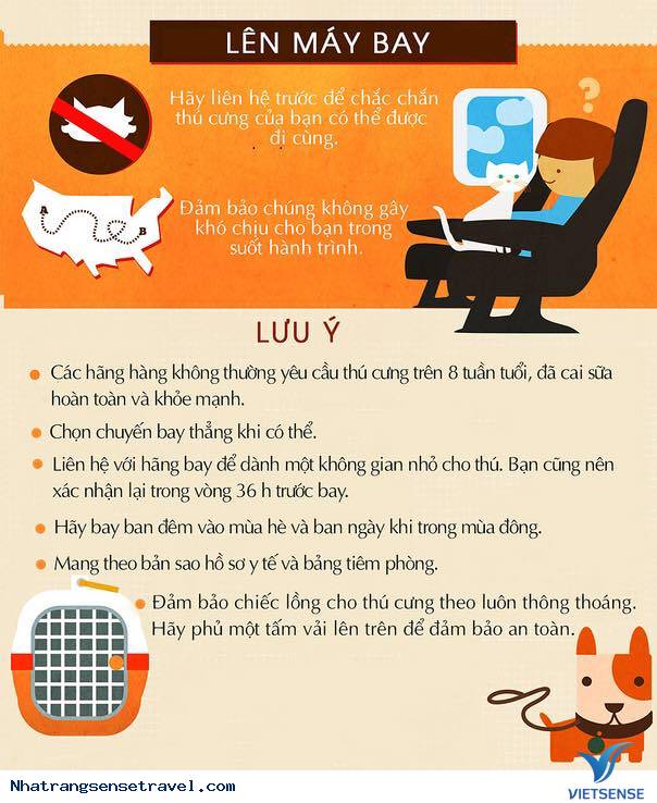 Lời Khuyên Khi Du Lịch Cùng Thú Cưng