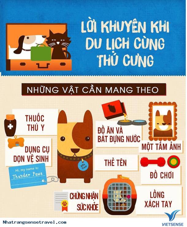 Lời Khuyên Khi Du Lịch Cùng Thú Cưng