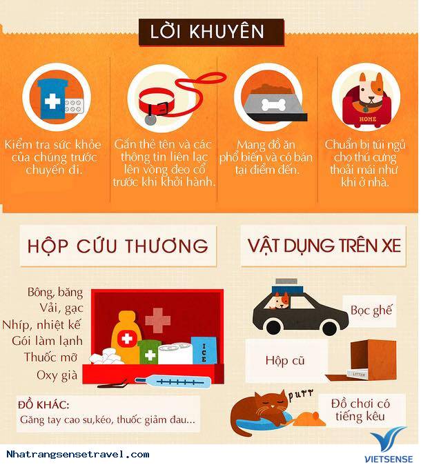 Lời Khuyên Khi Du Lịch Cùng Thú Cưng