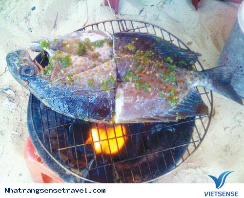 Món Ngon Từ Những Loài Cá Kỳ Lạ Ở Nha Trang - Ảnh 2