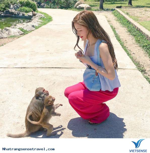 Một Ngày Sống Khác Trên Hoa Qua Sơn Phiên Bản Nha Trang - Ảnh 2 Một Ngày Sống Khác Trên Hoa Qua Sơn Phiên Bản Nha Trang - Ảnh 2