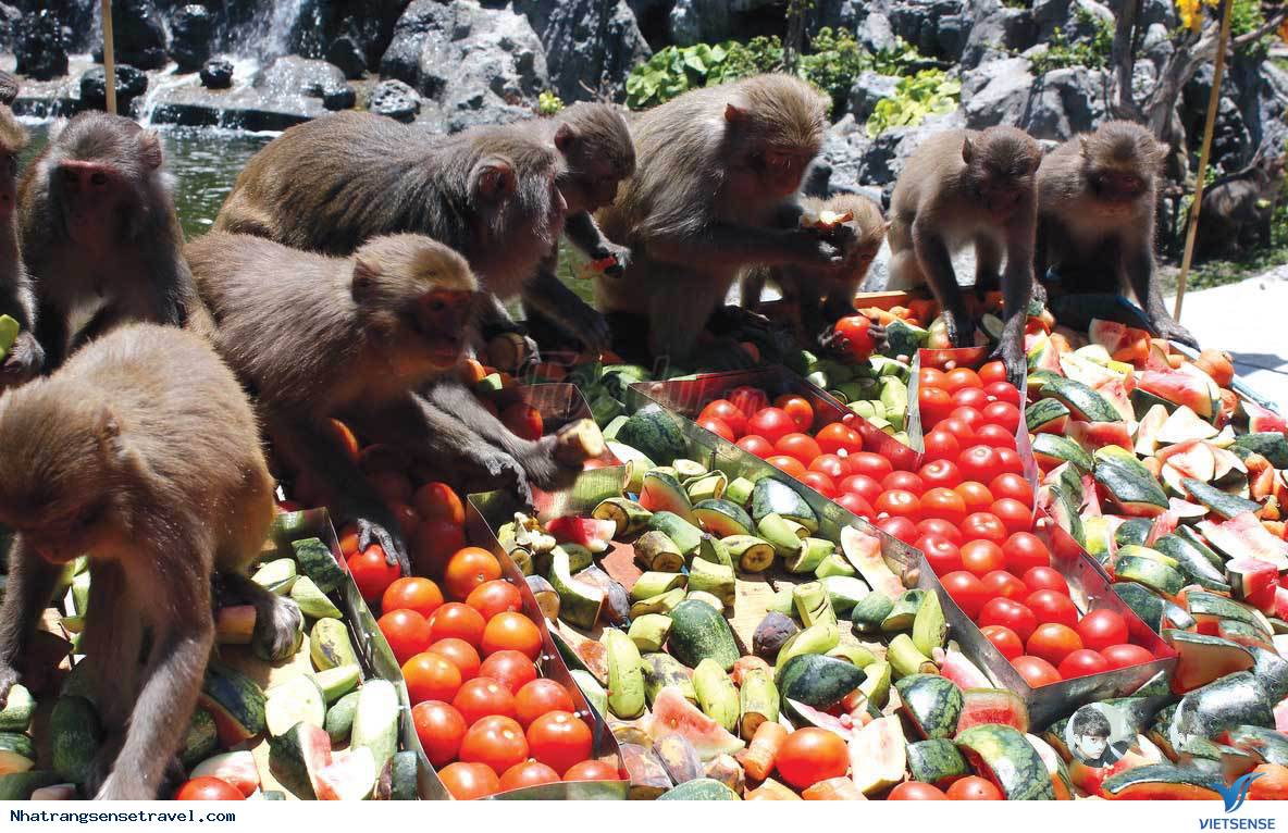 Một Ngày Sống Khác Trên Hoa Qua Sơn Phiên Bản Nha Trang - Ảnh 15 Một Ngày Sống Khác Trên Hoa Qua Sơn Phiên Bản Nha Trang - Ảnh 15