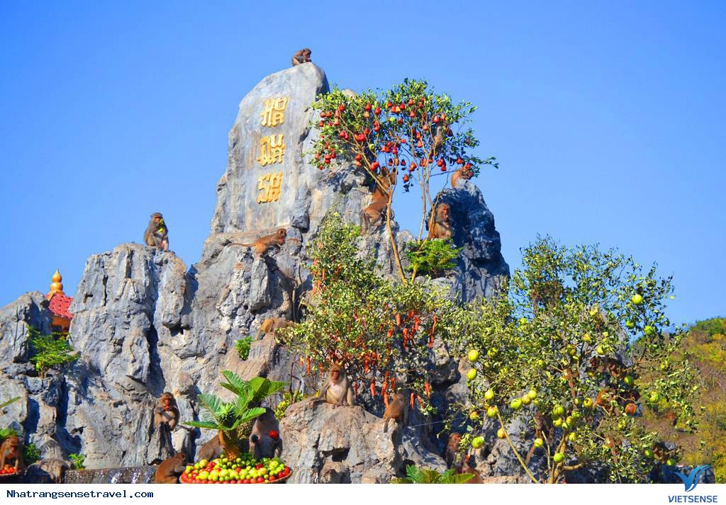 Một Ngày Sống Khác Trên Hoa Qua Sơn Phiên Bản Nha Trang - Ảnh 1 Một Ngày Sống Khác Trên Hoa Qua Sơn Phiên Bản Nha Trang - Ảnh 1