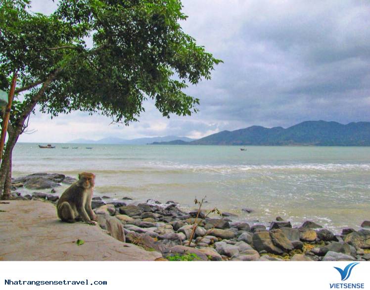 Một Ngày Sống Khác Trên Hoa Qua Sơn Phiên Bản Nha Trang - Ảnh 11 Một Ngày Sống Khác Trên Hoa Qua Sơn Phiên Bản Nha Trang - Ảnh 11