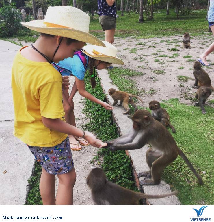 Một Ngày Sống Khác Trên Hoa Qua Sơn Phiên Bản Nha Trang - Ảnh 10 Một Ngày Sống Khác Trên Hoa Qua Sơn Phiên Bản Nha Trang - Ảnh 10