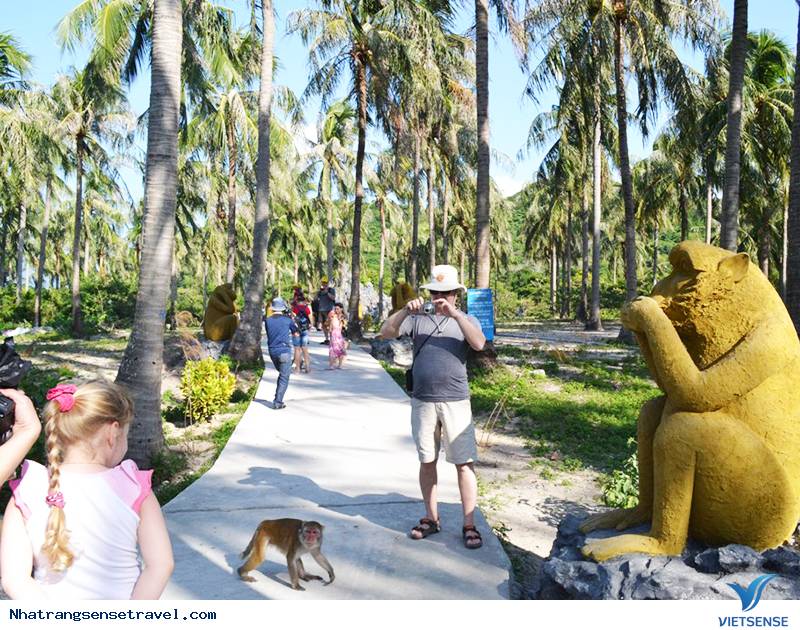 Một Ngày Sống Khác Trên Hoa Qua Sơn Phiên Bản Nha Trang - Ảnh 8 Một Ngày Sống Khác Trên Hoa Qua Sơn Phiên Bản Nha Trang - Ảnh 8