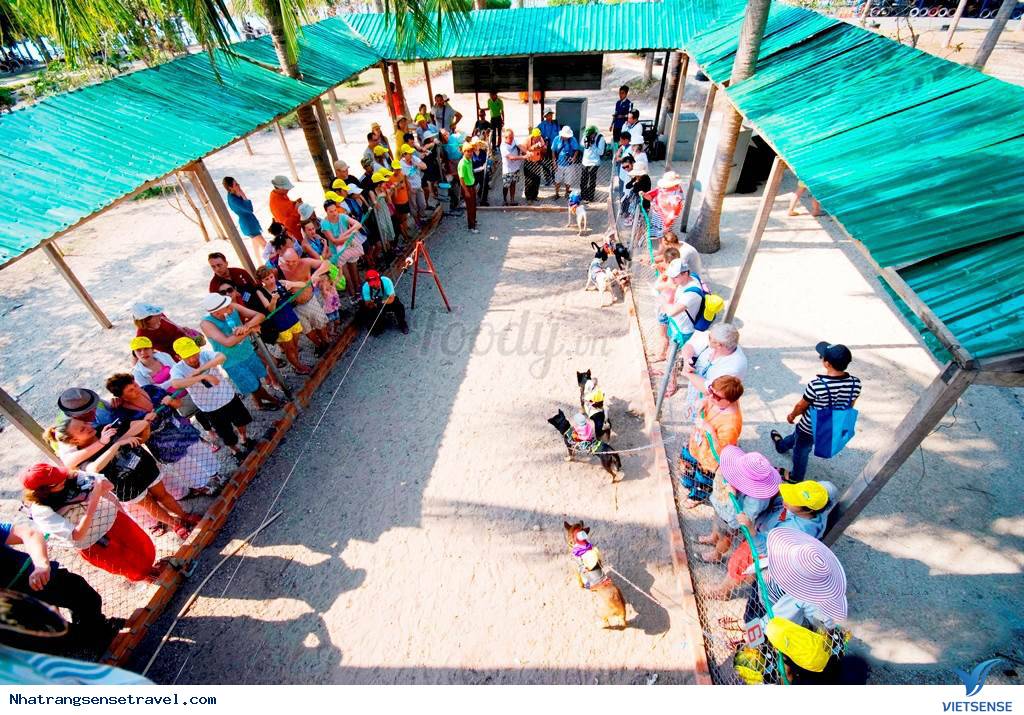 Một Ngày Sống Khác Trên Hoa Qua Sơn Phiên Bản Nha Trang - Ảnh 16 Một Ngày Sống Khác Trên Hoa Qua Sơn Phiên Bản Nha Trang - Ảnh 16