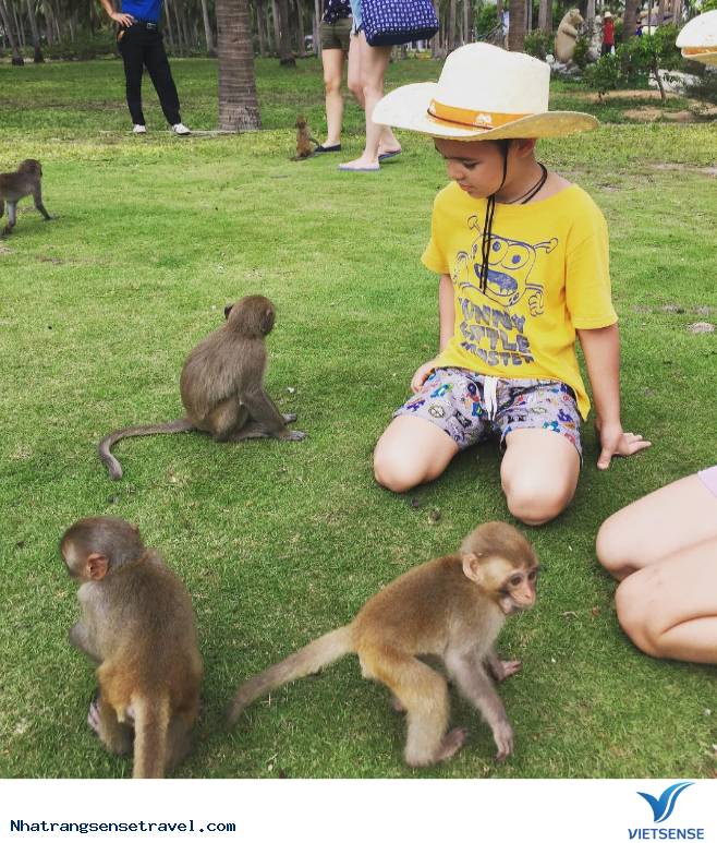 Một Ngày Sống Khác Trên Hoa Qua Sơn Phiên Bản Nha Trang - Ảnh 9 Một Ngày Sống Khác Trên Hoa Qua Sơn Phiên Bản Nha Trang - Ảnh 9