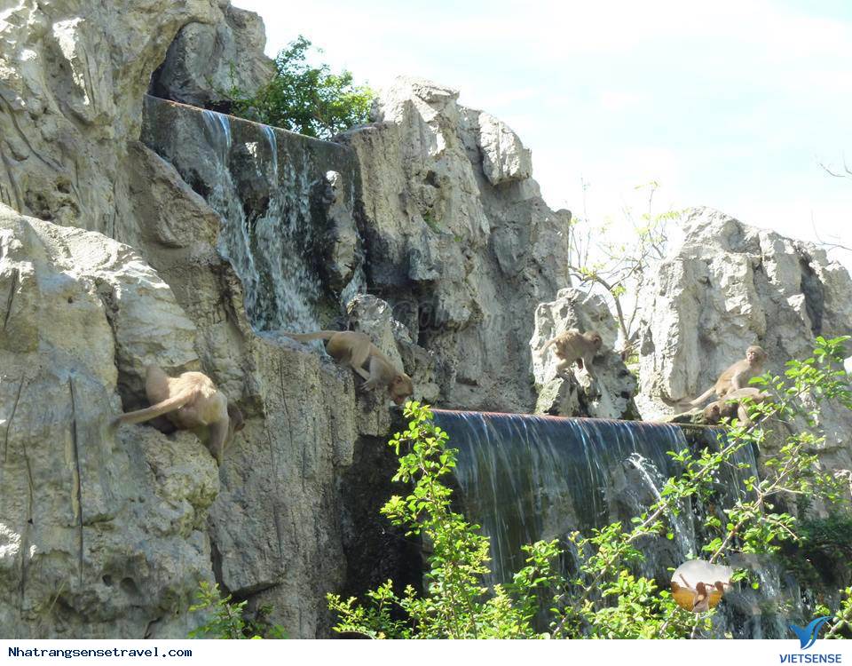 Một Ngày Sống Khác Trên Hoa Qua Sơn Phiên Bản Nha Trang - Ảnh 14 Một Ngày Sống Khác Trên Hoa Qua Sơn Phiên Bản Nha Trang - Ảnh 14