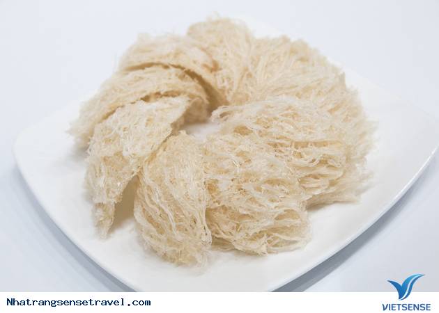 Mua & Nếm thử ở Hòn Yến Mua & Nếm thử ở Hòn Yến