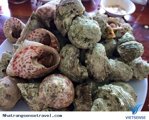 Mùa Hè Này Bạn Đã Đến Maldives Của Việt Nam Chưa? - Ảnh 12