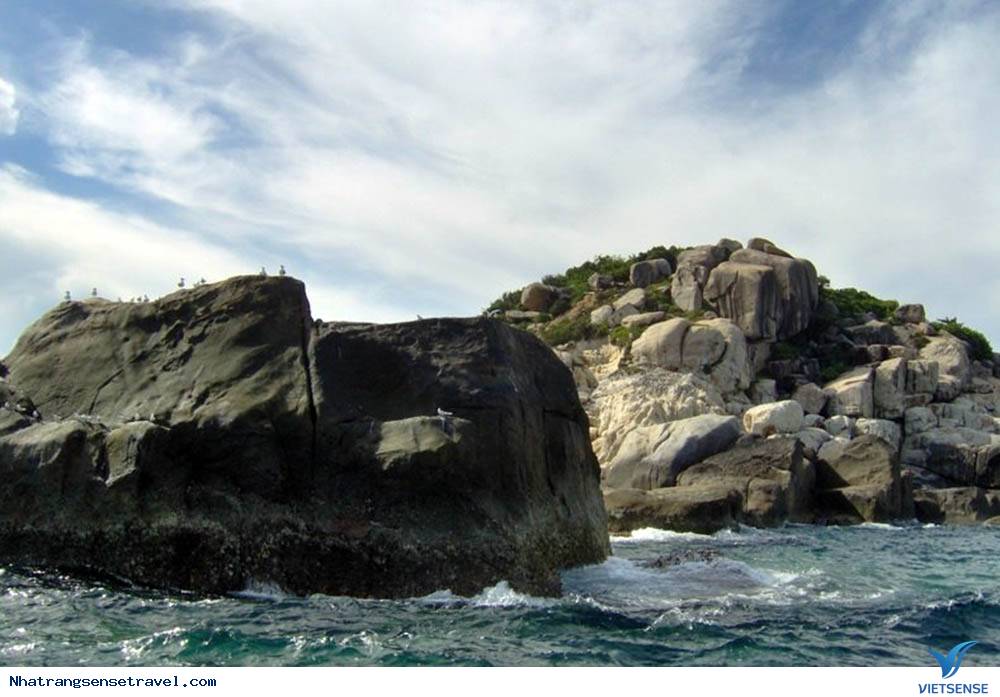 Mũi Đôi - Hòn Đầu - Vẻ Đẹp Điểm Cực Đông Của Tổ Quốc - Ảnh 4 Mũi Đôi - Hòn Đầu - Vẻ Đẹp Điểm Cực Đông Của Tổ Quốc - Ảnh 4