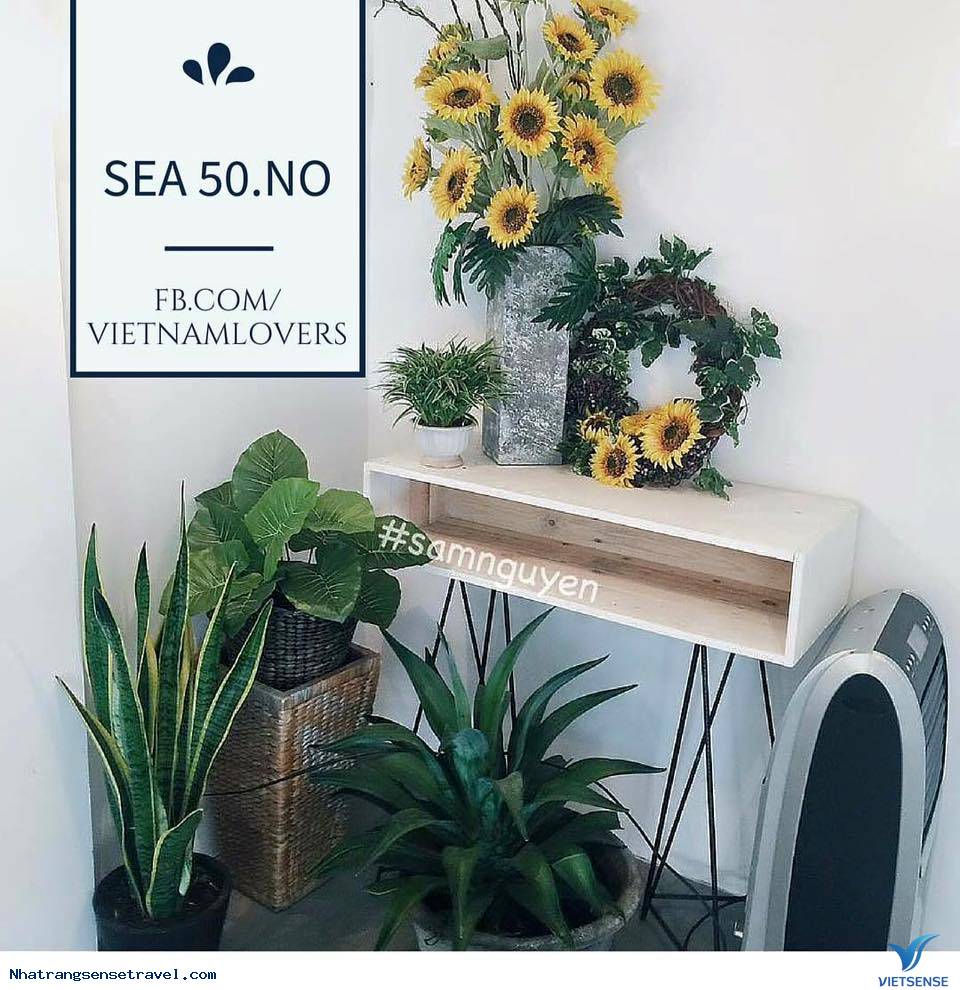 Nha Trang A - Z: Nên Ăn Gì, Ở Đâu Và Khám Phá Những Gì - Ảnh 11