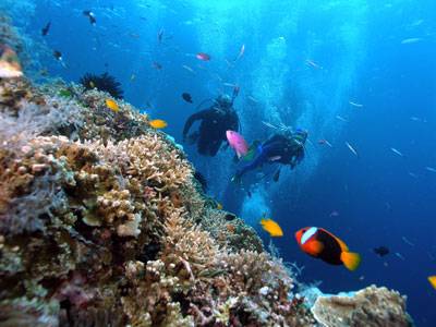 Nha Trang Bảo Vệ Môi Trường Biển - Ảnh 1 Nha Trang Bảo Vệ Môi Trường Biển - Ảnh 1