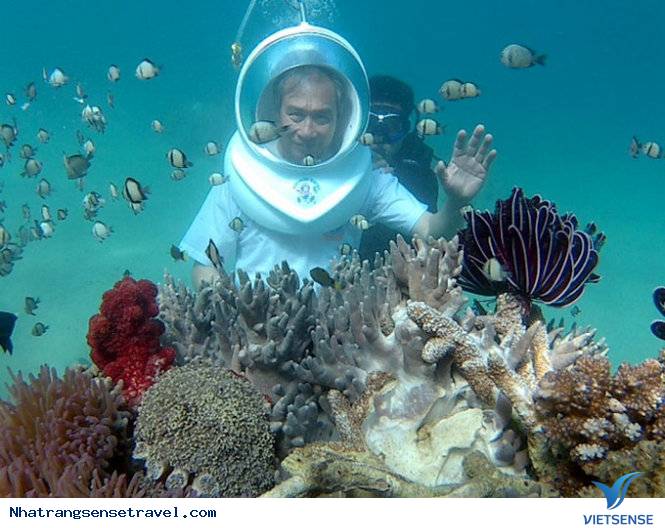 Nha Trang: Dịch Vụ Đi Bộ Dưới Đáy Biển Thu Hút khách thăm quan - Ảnh 1 Nha Trang: Dịch Vụ Đi Bộ Dưới Đáy Biển Thu Hút khách thăm quan - Ảnh 1