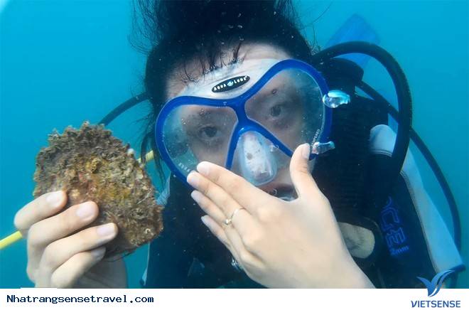 lặn bắt ngọc trai
