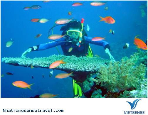 Nha Trang Một Buổi Chiều Thanh Bình2 Nha Trang Một Buổi Chiều Thanh Bình