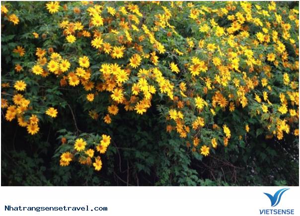 Nha Trang Một Trong 3 Địa Điểm Lý Tưởng Chụp Ảnh Mùa Cưới - Ảnh 4 Nha Trang Một Trong 3 Địa Điểm Lý Tưởng Chụp Ảnh Mùa Cưới - Ảnh 4