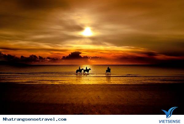 Nha Trang- Thành Phố biển bình yên - Ảnh 2 Nha Trang- Thành Phố biển bình yên - Ảnh 2