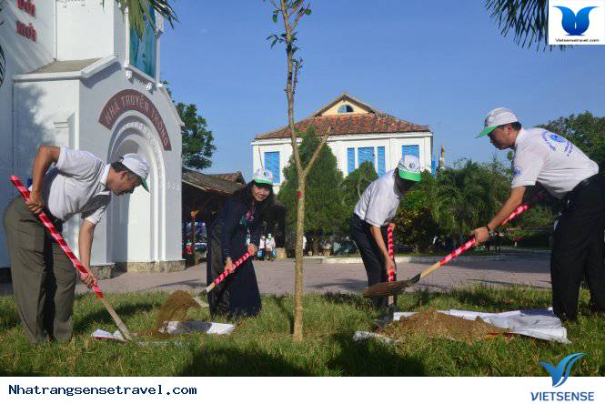 Nha Trang Tổ Chức Mít Tinh Hưởng Ứng Ngày Môi Trường Thế Giới - Ảnh 2