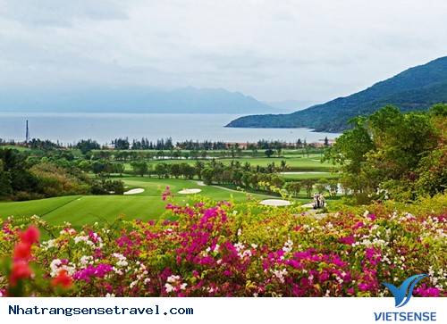 Nha Trang Và Những Cung Đường Hoa Giấy Lãng Mạn Nhất - Ảnh 2 Nha Trang Và Những Cung Đường Hoa Giấy Lãng Mạn Nhất - Ảnh 2